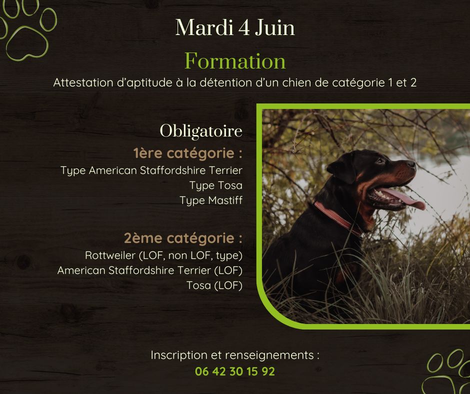 vendredi 4 juin : formation d'aptitude à la détention d'un chien de catégorie 1 ou 2