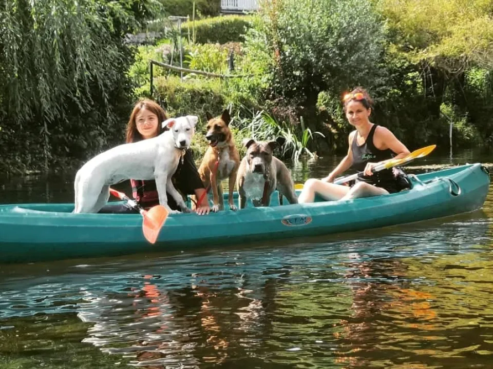 Activités canines - Éduc et Moi 2