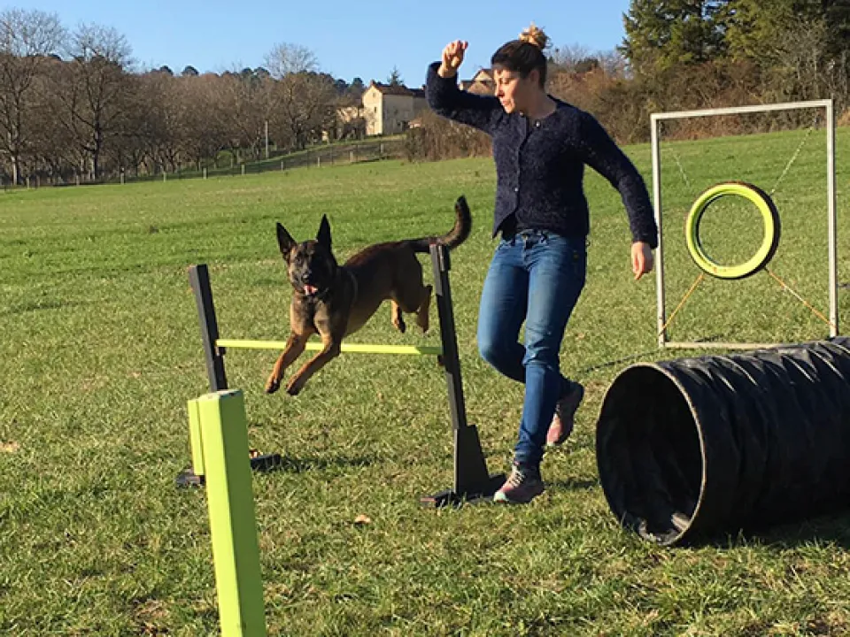 Activités canines - Éduc et Moi 6
