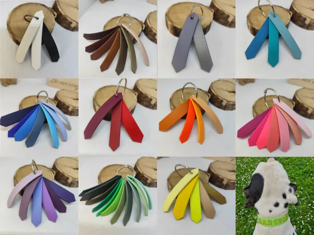 collier-laisse-chien-dordogne